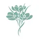 Serenity Aesthetics & Wellness